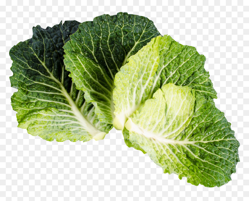 Kale - Collard Greens Leaf Transparent Background, HD Png Download - kale png