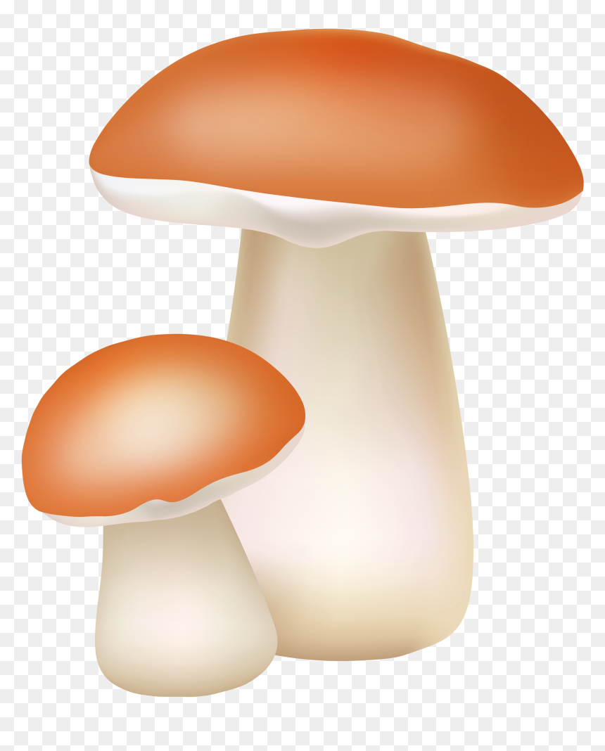 Two Mushrooms Png Cliaprt - Png Transparent Png Mushroom Clipart, Png Download - mushrooms png
