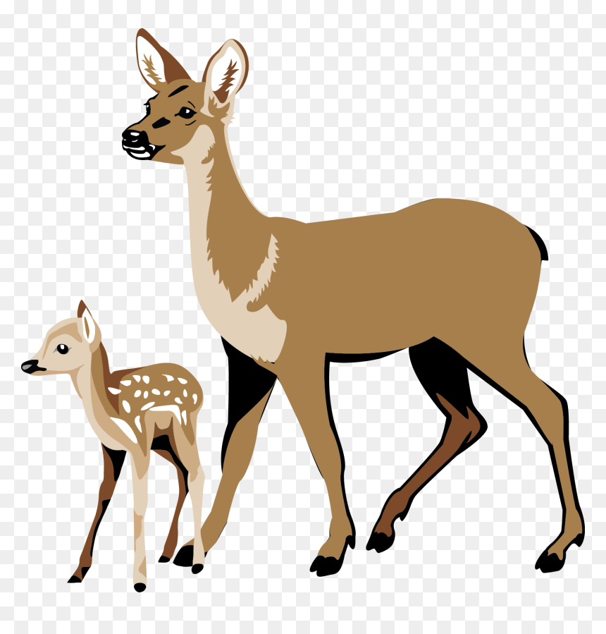 Fawn Pencil And In - Deer And Fawn Clipart, HD Png Download - deer silhouette png