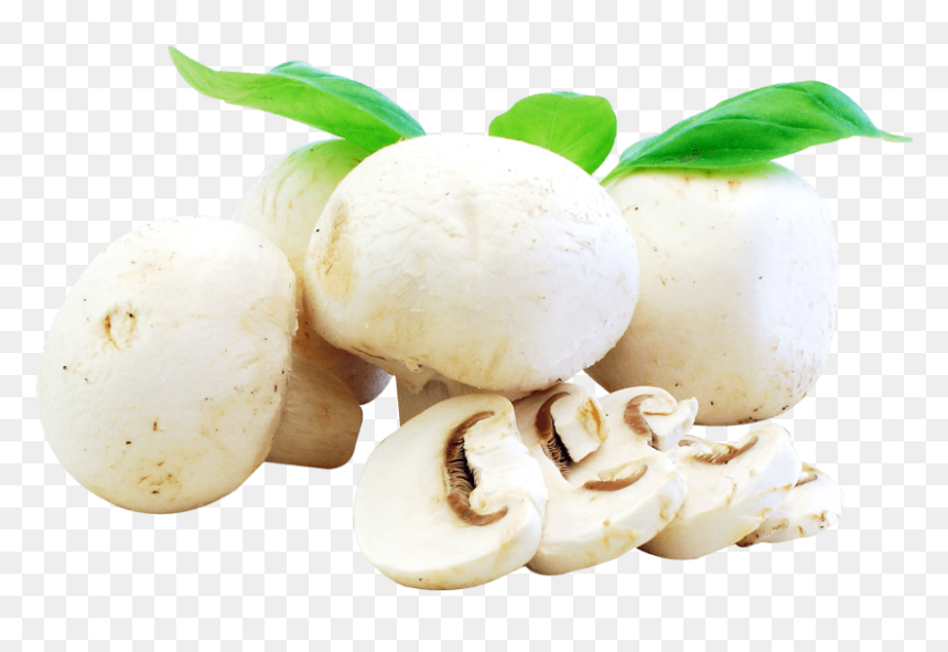Free Png Fresh Mushrooms Png Images Transparent - Fresh Mushrooms Png, Png Download - mushrooms png