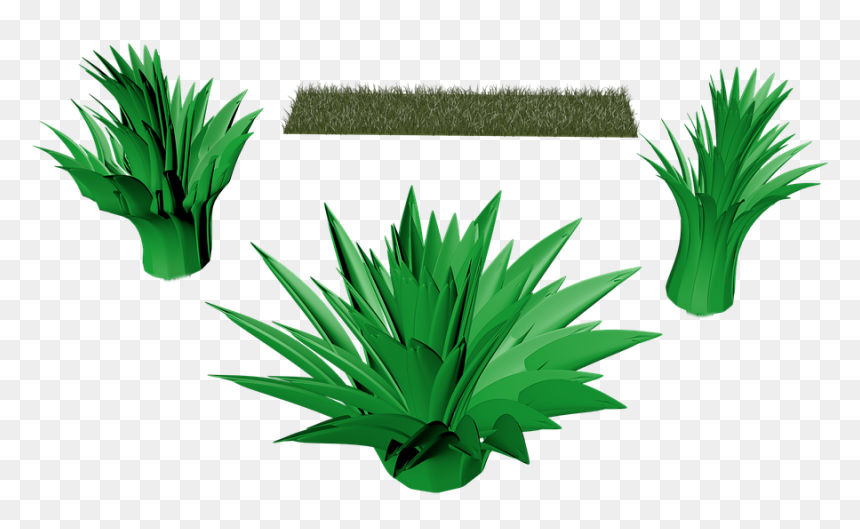 Grass, HD Png Download - grasses png
