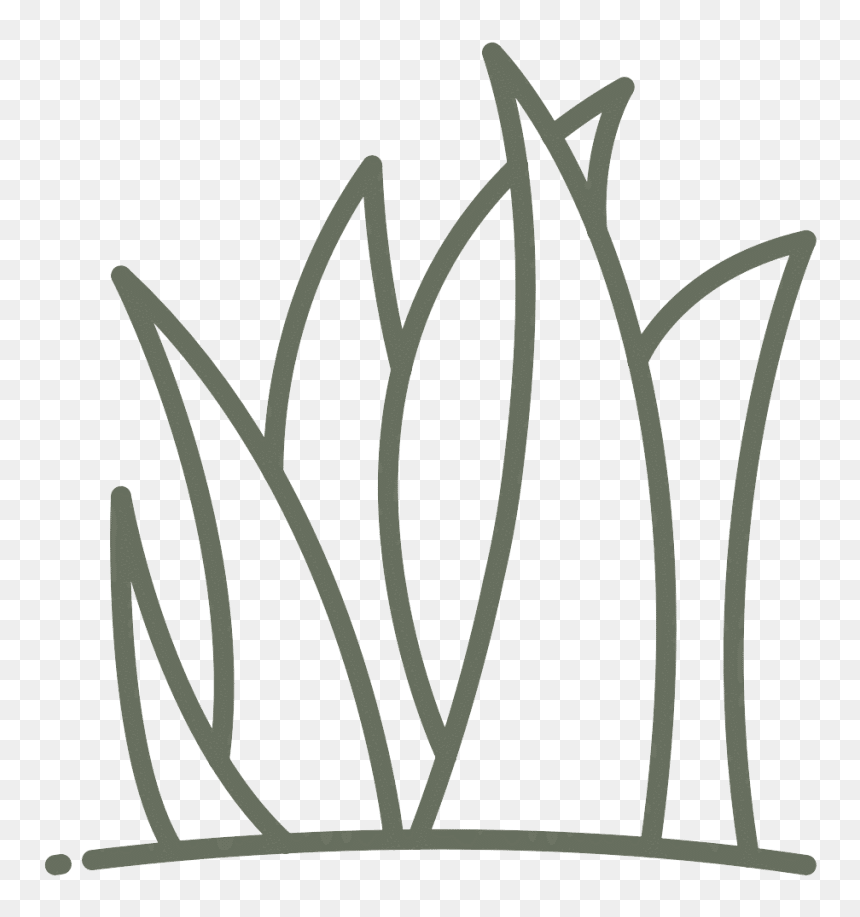 Grasses Clipart , Png Download - Illustration, Transparent Png - grasses png