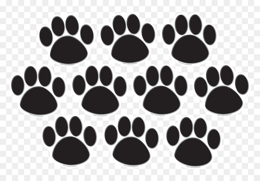 Tcr4277 Black Paw Prints Accents Image - Color Paw Png, Transparent Png - paw prints png