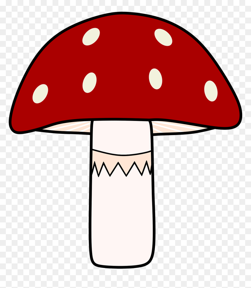 Muchomor Grafika, HD Png Download - mushrooms png
