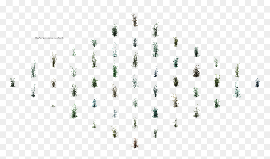 Hjm Grasses 4 Alpha, HD Png Download - grasses png