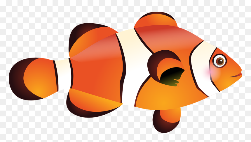 Peces De Mar Png, Transparent Png - nemo png