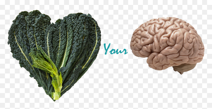 Transparent Kale Png - Actual Picture Of The Brain, Png Download - kale png