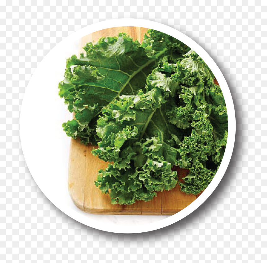 Health Benefits Of Kale , Png Download - Kale Diet, Transparent Png - kale png
