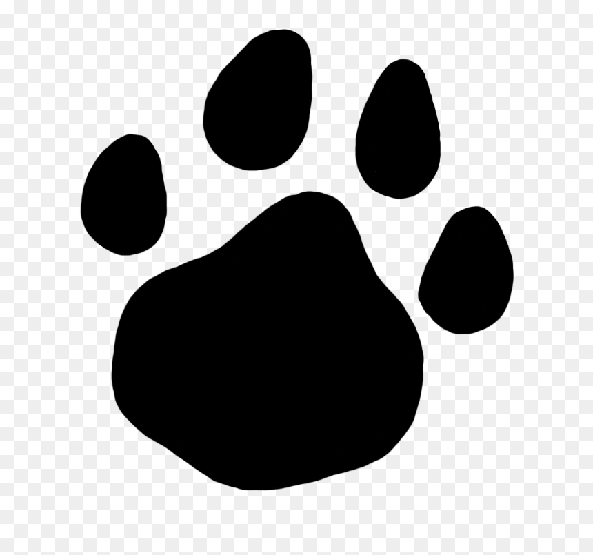 Bear Paw Front, Cat Paw Prints U0026lt30 Mmu0026gt,, HD Png Download - paw prints png