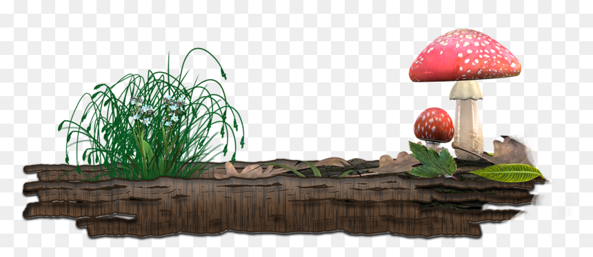 Forest Mushrooms Png, Transparent Png - mushrooms png