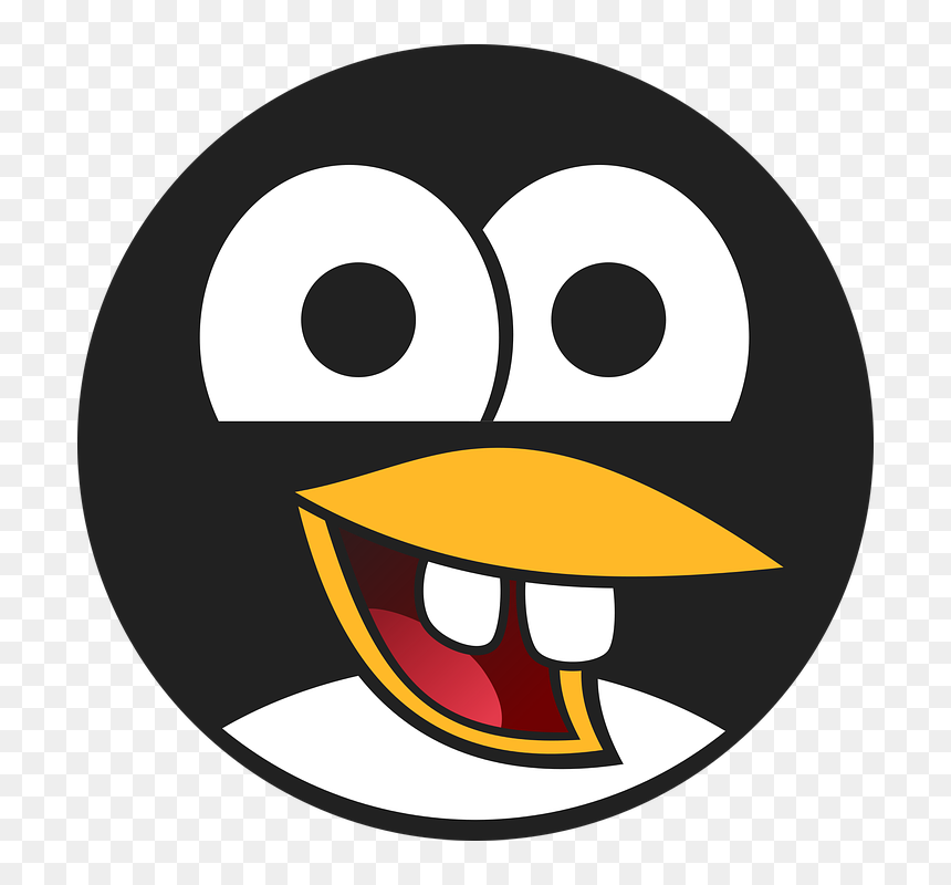 Penguin Face Clip Art, HD Png Download - avatar png