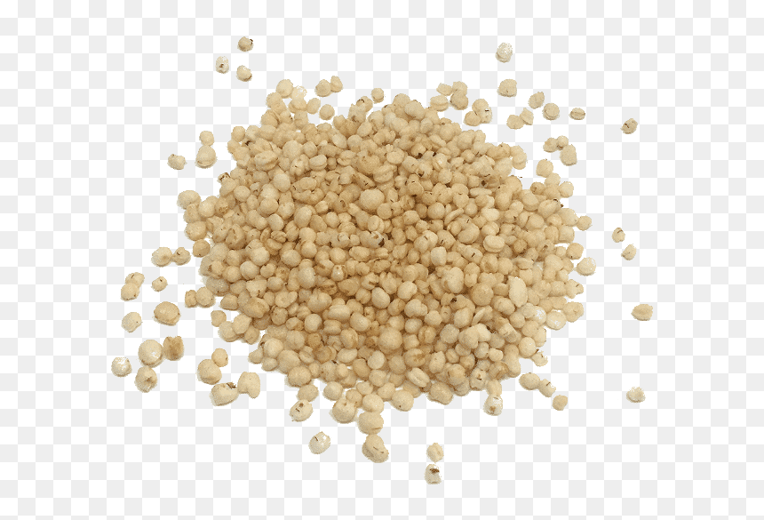 Cereal Germ Whole Grain Sorghum - Whole Grain, HD Png Download - grain png