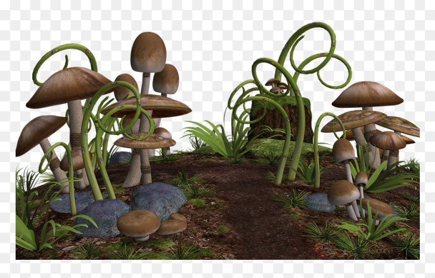 Mushrooms 3d , Png Download - Grass And Mushrooms Png Hd, Transparent Png - mushrooms png
