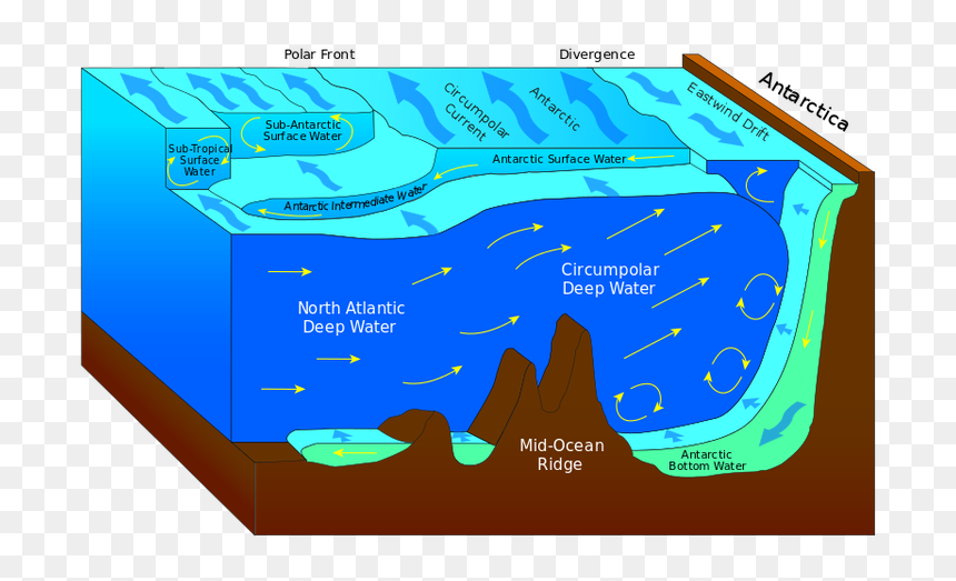 Antarctic Bottom Water - Ocean Currents Antarctica, HD Png Download - ocean water png
