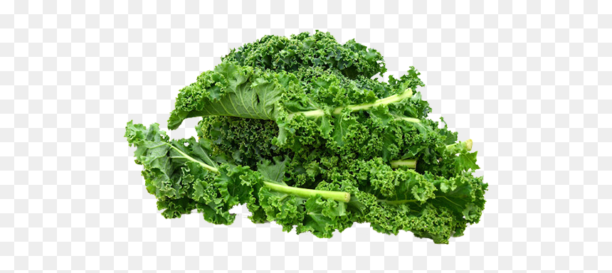 Moisturize Skin From Inside, HD Png Download - kale png
