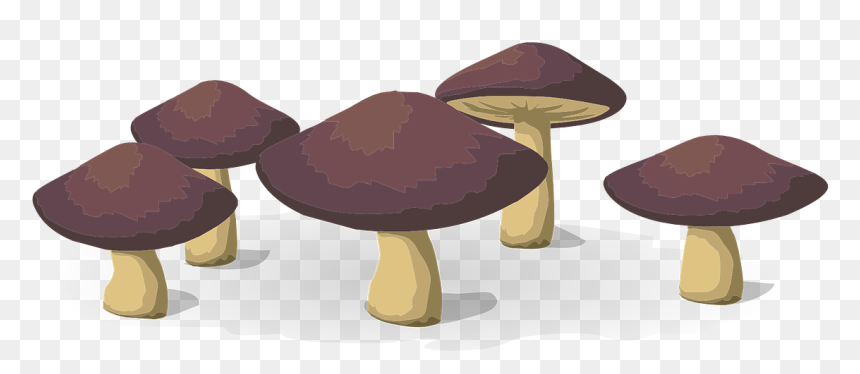 Vegetable, HD Png Download - mushrooms png