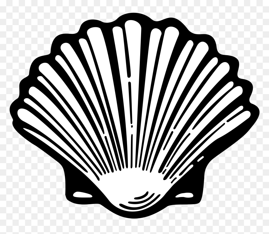 Thumb Image - Shell Png Black And White, Transparent Png - shell png