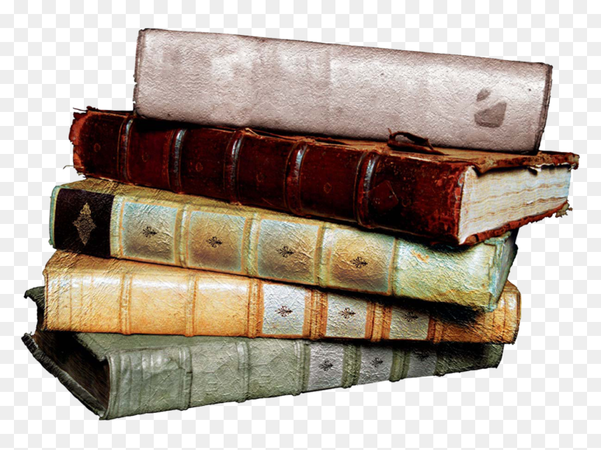 Textbook Clipart Stacked Textbook - Grace Shiver Maggie Stiefvater, HD Png Download - stack of books png