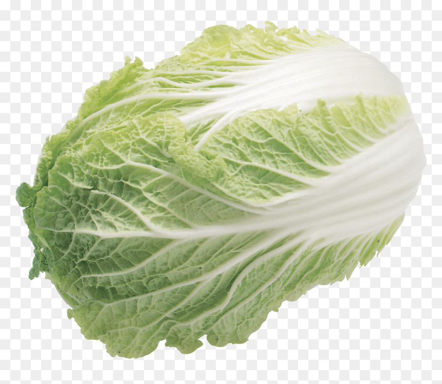 Lettuce Salad - 大 白菜, HD Png Download - lettuce png