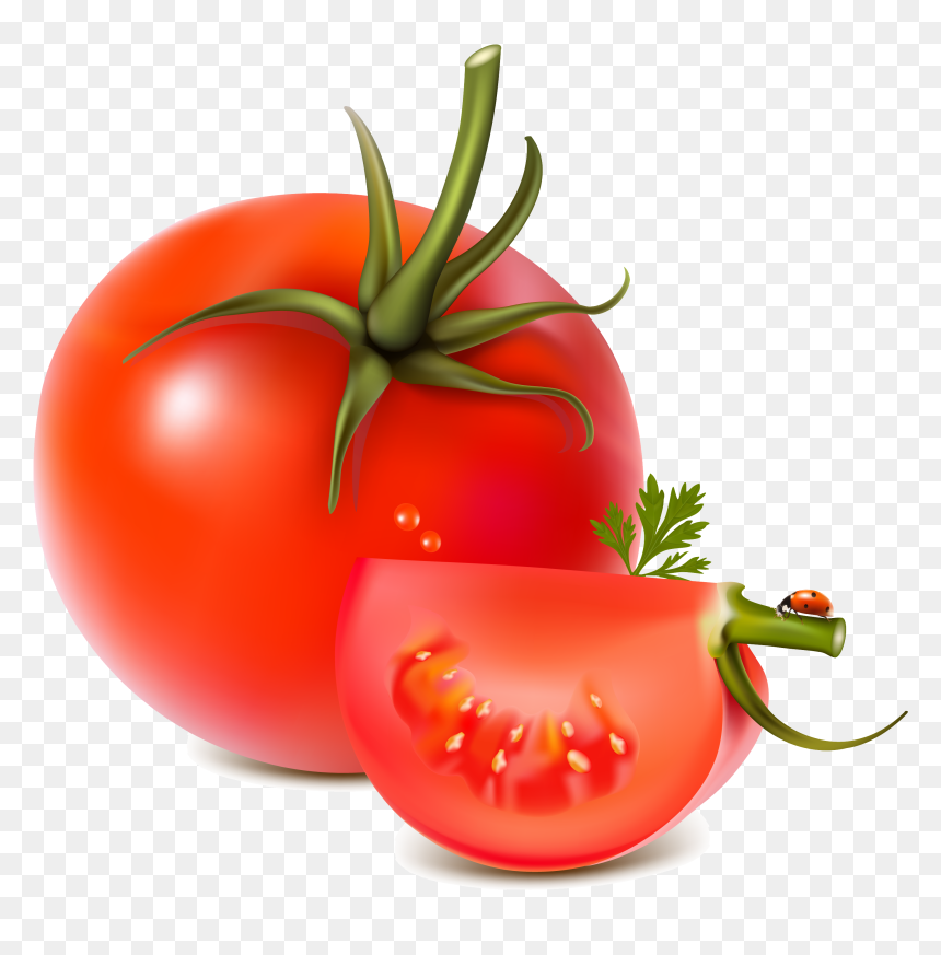 Pin By Hopeless On - Vector Free Download All, HD Png Download - tomatoes png