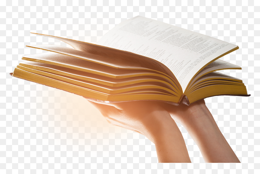 Holding The Open Bible Up - Open Bible Png Transparent, Png Download - open bible png