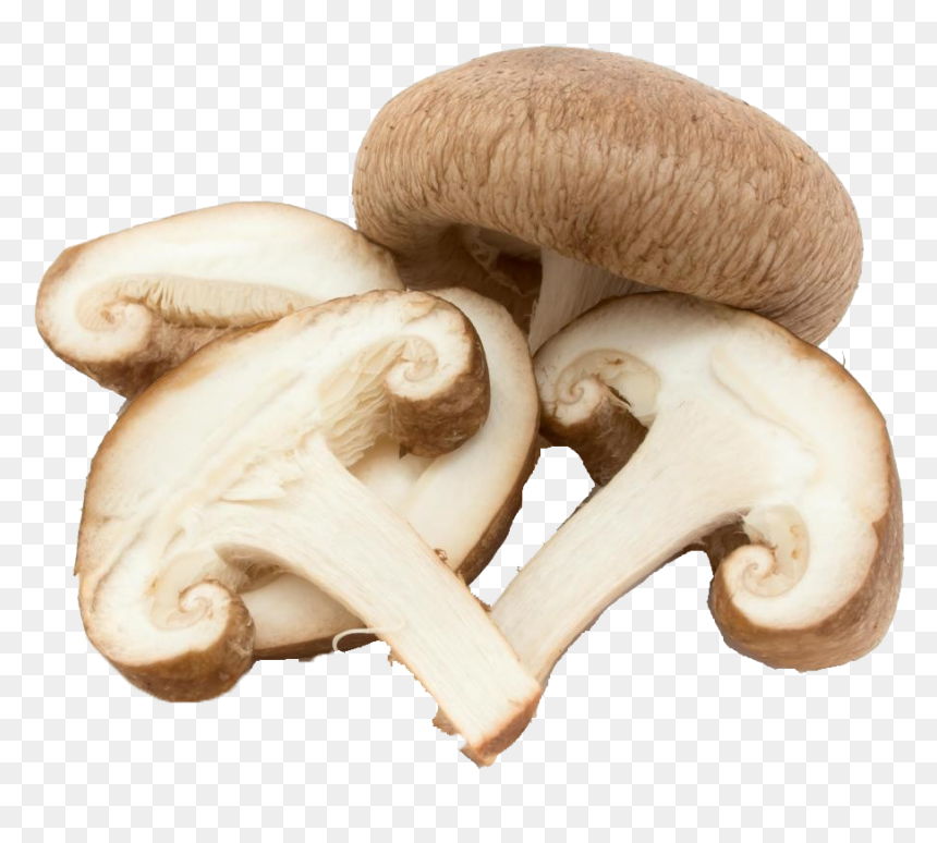 Mushroom Png Background, Transparent Png - mushrooms png