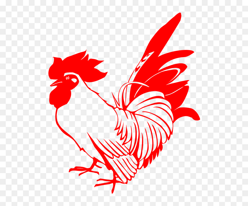 Rooster Chicken Red - Chicken Word, HD Png Download - rooster png