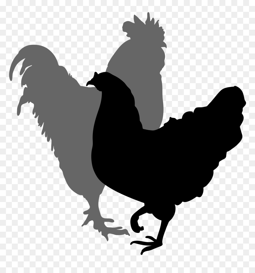 Clipart Freeuse Library Clipart At Getdrawings Com, HD Png Download - rooster png