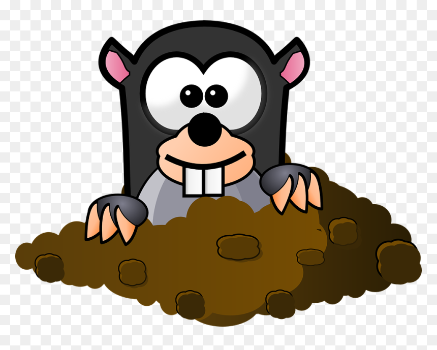 Mole Clip Art, HD Png Download - furry png