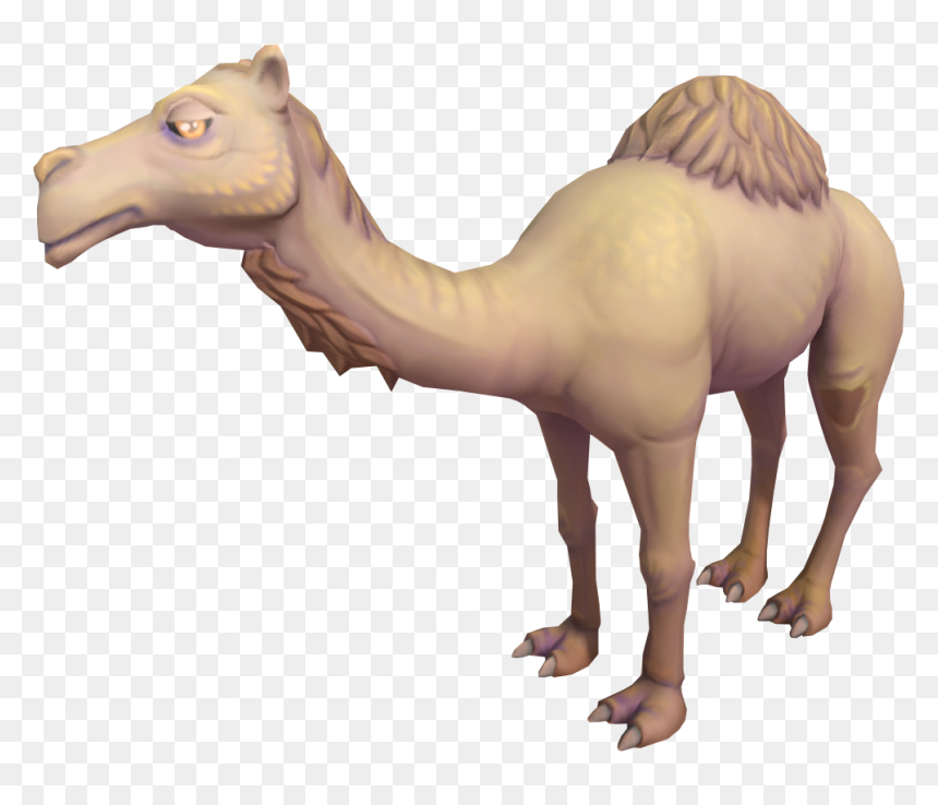 Ali Ali The Camel, HD Png Download - camel png
