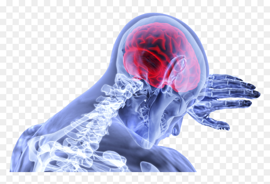 How Gluten And Grains Trigger Blood Brain Barrier Disruption - Doenças Do Sistema Nervoso, HD Png Download - blood hand png