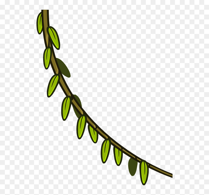Clip Art, HD Png Download - jungle vines png