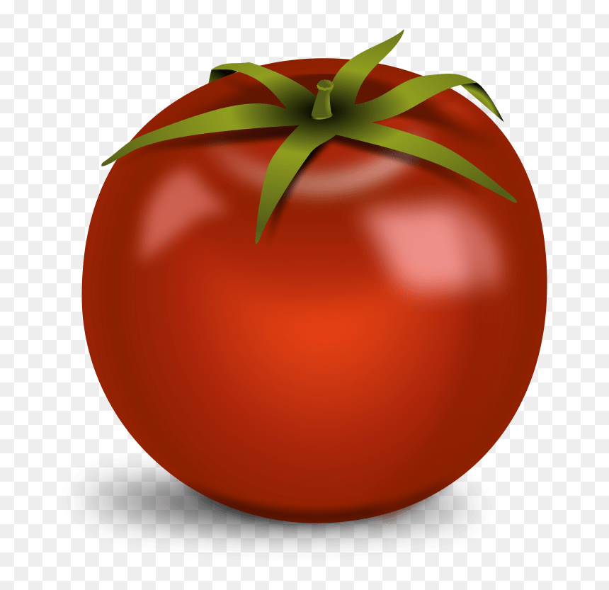 Tomato Transparent Image Png Images - Bridge Of Palanga, Png Download - tomatoes png