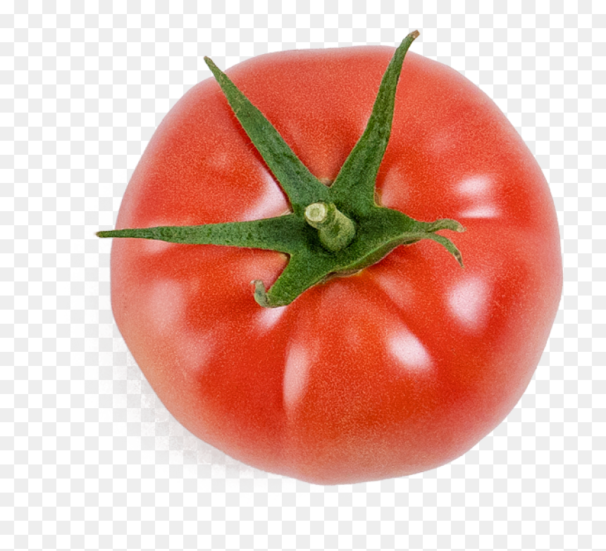Plum Tomato, HD Png Download - tomatoes png