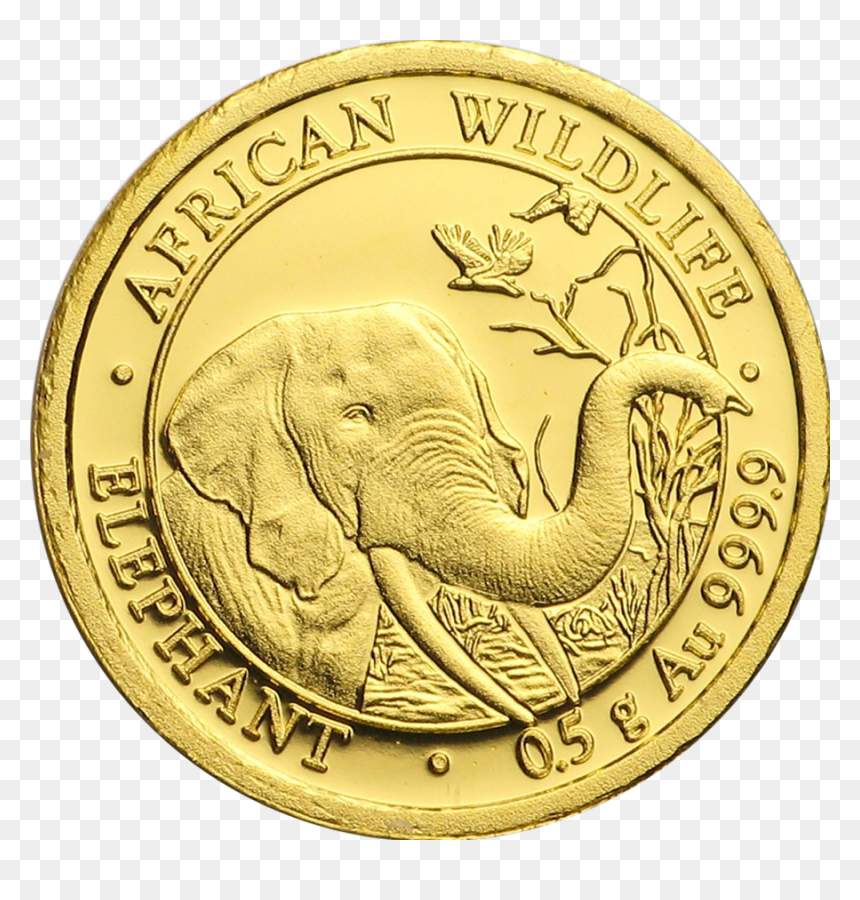 Gold Coins Falling Png For Kids, Transparent Png - gold coins png