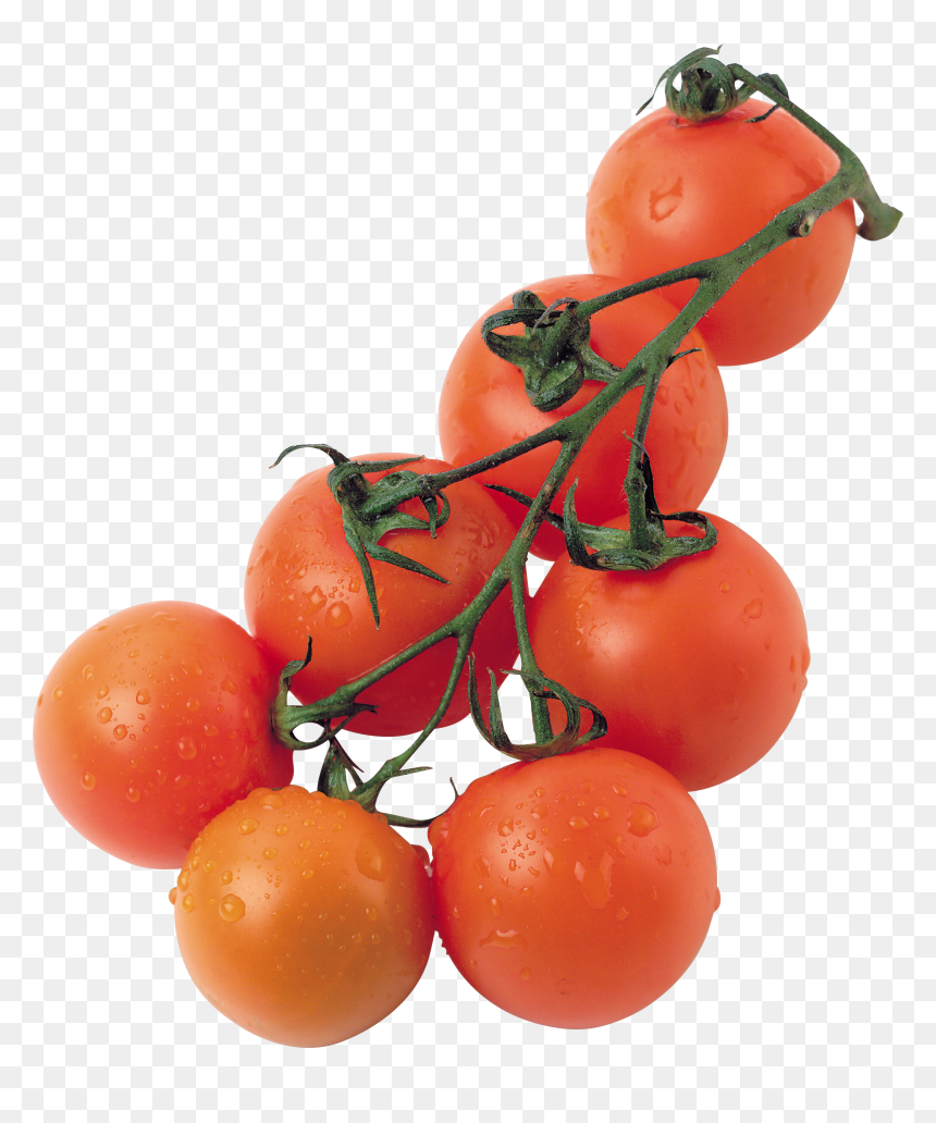 Tomatoes Png, Transparent Png - tomatoes png
