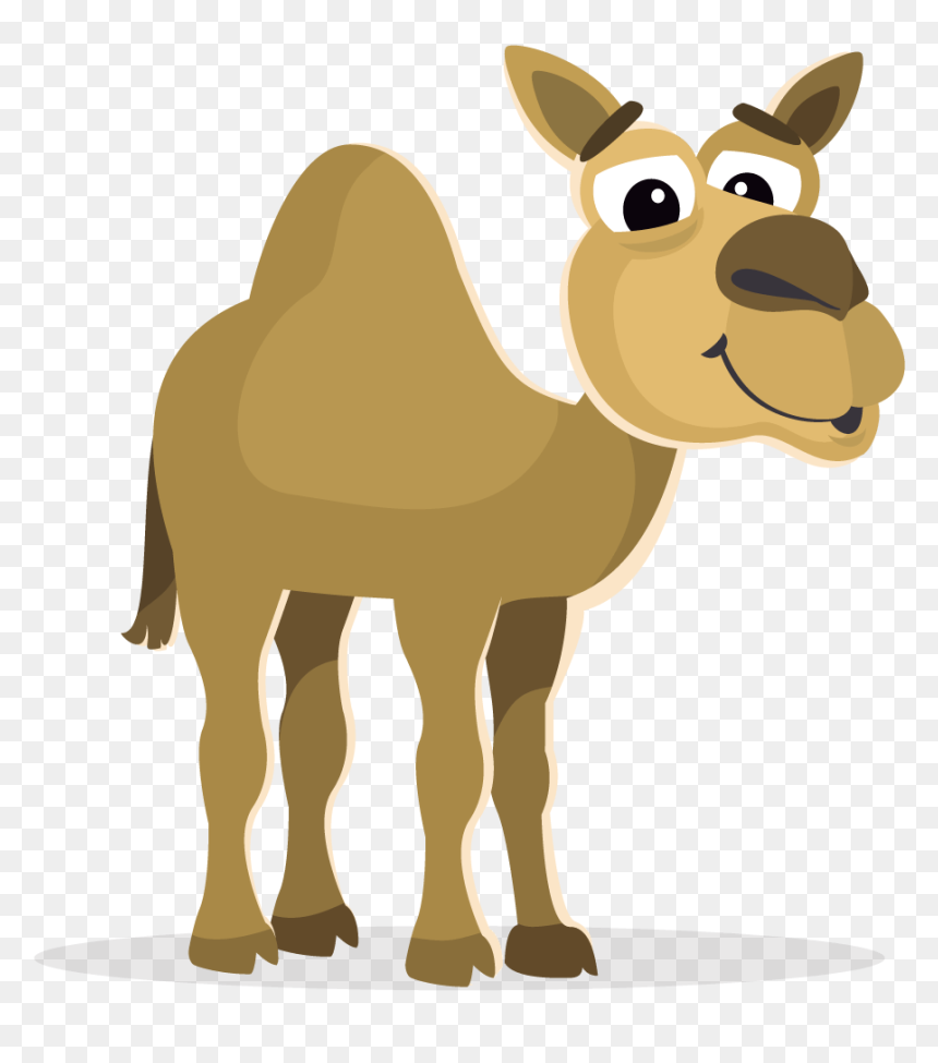 Camel Png Clipart - Cartoon Zoo Animal Transparent Background, Png Download - camel png