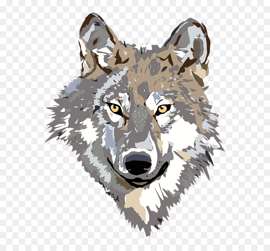 Thumb Image - Transparent Wolf Head Png, Png Download - wolf face png