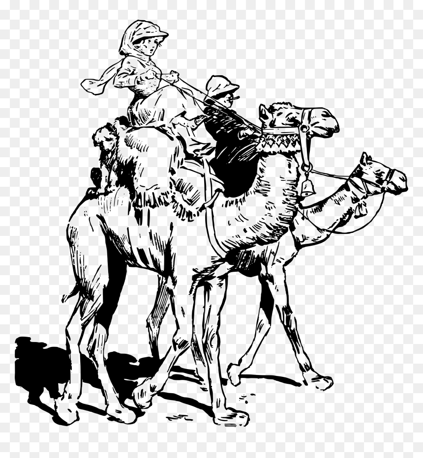 Lady On Camel Clip Arts - Ride A Camel Clipart Black And White, HD Png Download - camel png