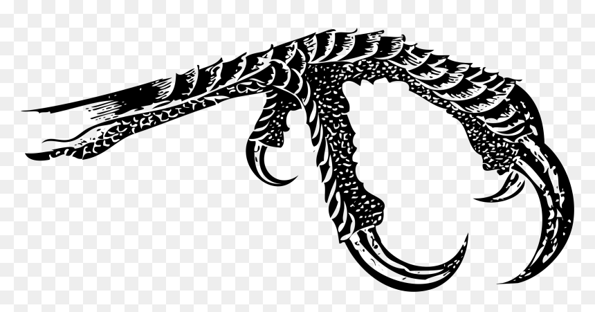 Bird Claw 2 Clip Arts - Bird Claw Png Transparent, Png Download - claw png