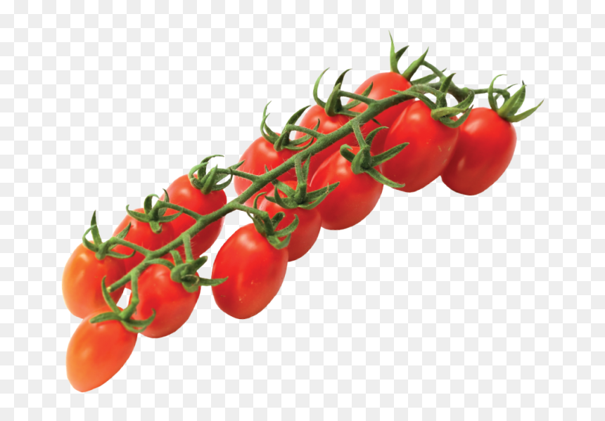 Vittoria Tomatoes Home Eng - Vittoria Tomato, HD Png Download - tomatoes png
