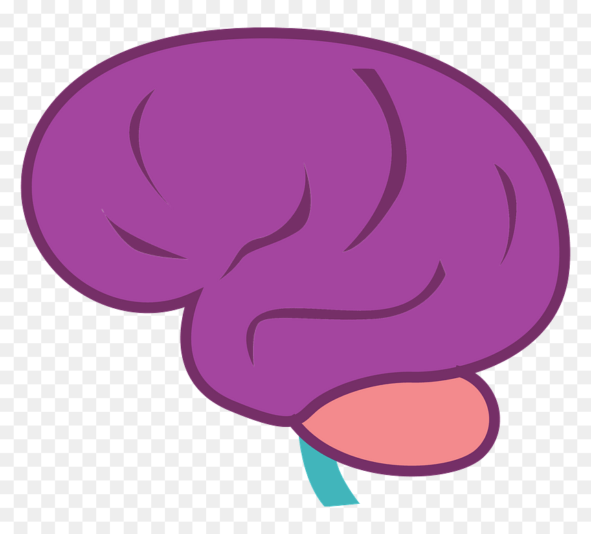Brain Organ Clipart, HD Png Download - brain clipart png
