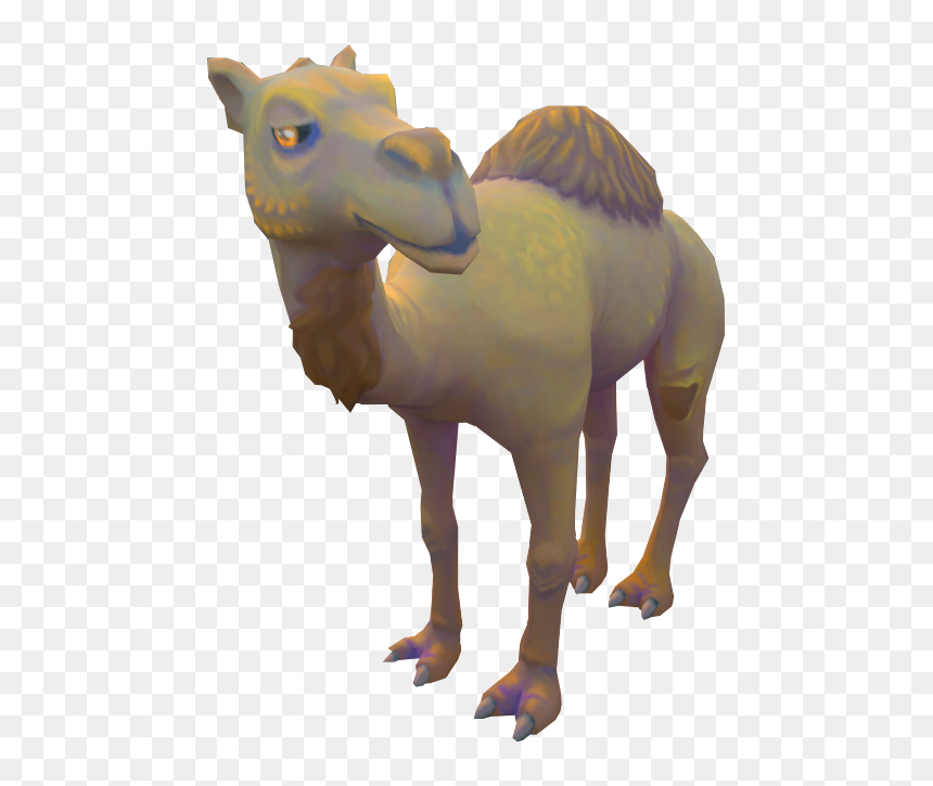 Neferti The Camel - Camel, HD Png Download - camel png