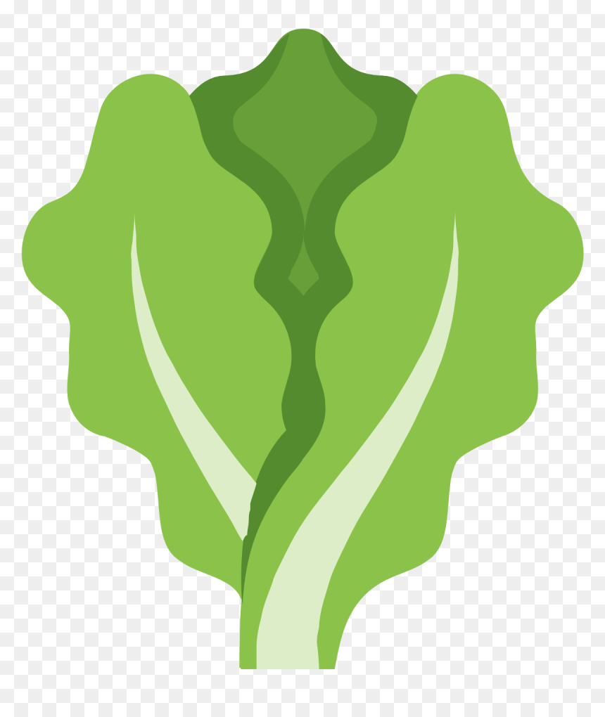 Canadian Cooking Adventures Salads - Lettuce Clipart Transparent, HD Png Download - lettuce png