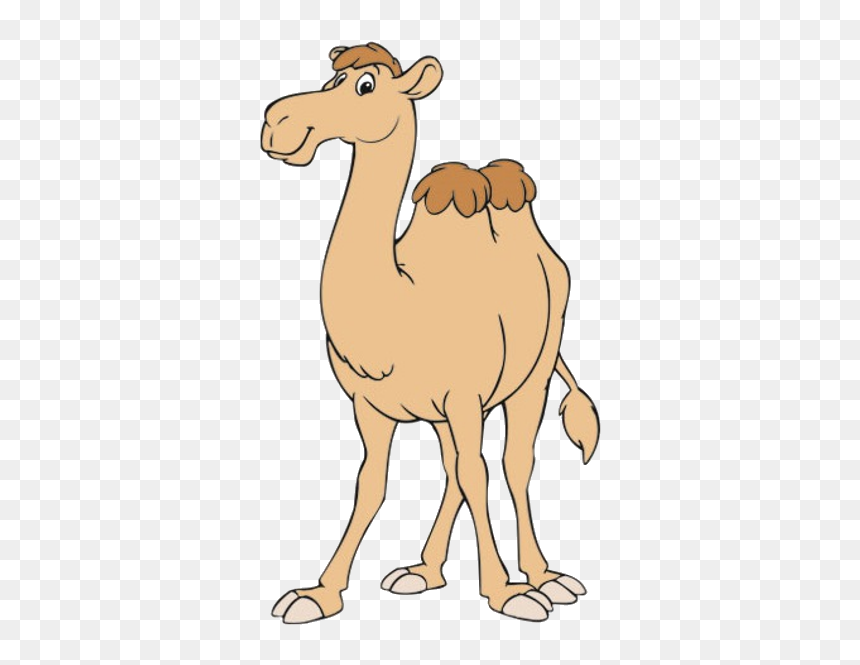 Camel Clipart Free, HD Png Download - camel png