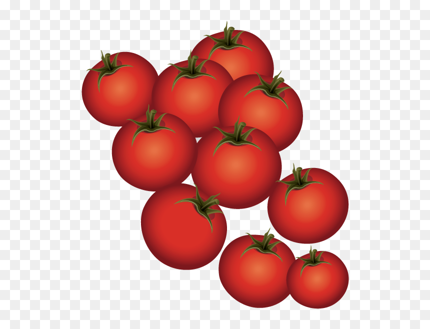 Plum Tomato Bush Tomato - Tomato, HD Png Download - tomatoes png