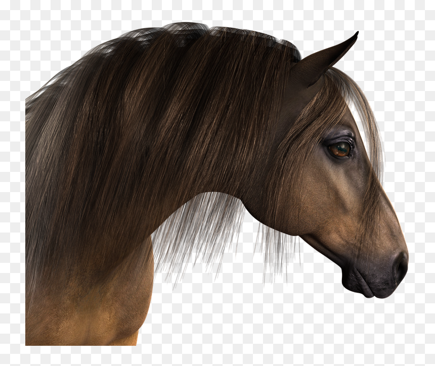 Horse Head Png - Horse Head, Transparent Png - horse head png