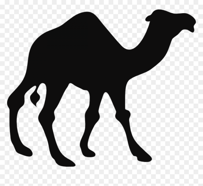 Camel Black And White Clipart, HD Png Download - camel png