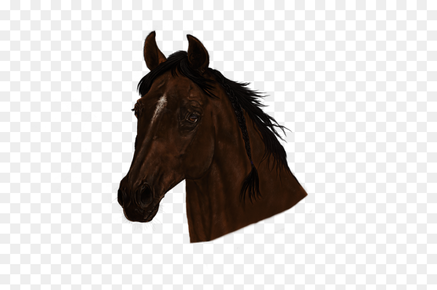 Sorrel, HD Png Download - horse head png