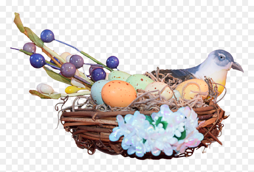 Nest Png Transparent Photo - Portable Network Graphics, Png Download - nest png